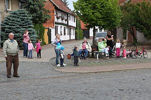 Jungstörche werden beringt