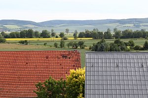 Jungstörche werden beringt