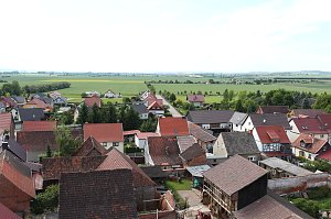 Jungstörche werden beringt