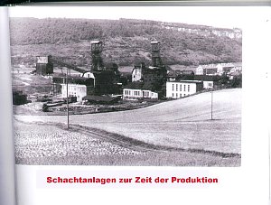 Schacht Georg und Wangen