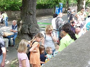 20. Stra&szlig;enfest