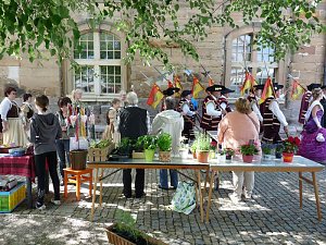 Alles f&uuml;r die Strobel-Orgel
