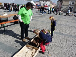 15. Kinder- und Familienfest (1)
