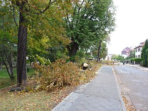 Keine Meldung warum!