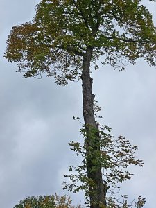 Keine Meldung warum!