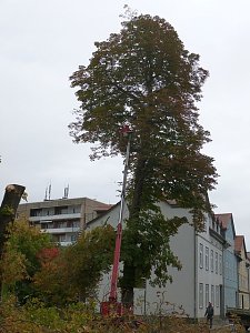 Leser sehen es auch so!