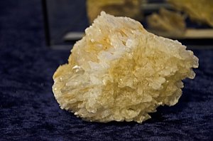 Fossilien