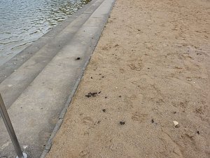 St&uuml;rmisches Abbaden