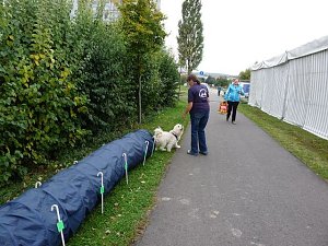 Kinderfest des SGW