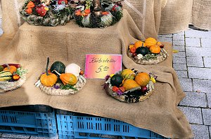 Besuch auf dem Zwiebelmarkt