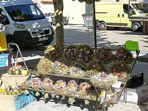 Zwiebelmarkt in Artern,
