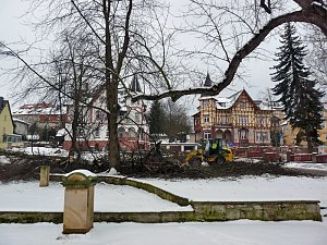 Baumf&auml;llungen passiert
