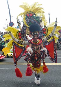 R&uuml;ckschau - der Carneval in Santa Cruz