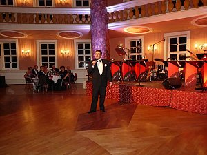 Ballgefl&uuml;ster