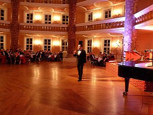 Ballgefl&uuml;ster