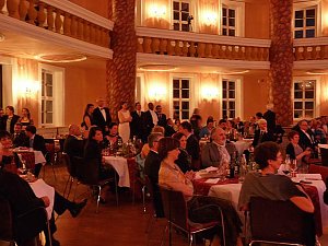 Ballgefl&uuml;ster
