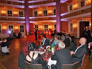 Ballgefl&uuml;ster