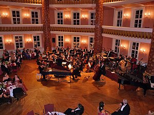 Ballgefl&uuml;ster