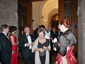 Ballgefl&uuml;ster