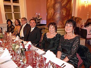 Ballgefl&uuml;ster