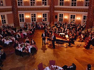 Ballgefl&uuml;ster
