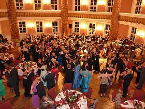 Ballgefl&uuml;ster