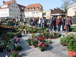 Platz reichte kaum
