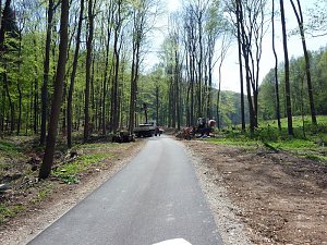 Rad- und Nahverkehr eng verkn&uuml;pfen