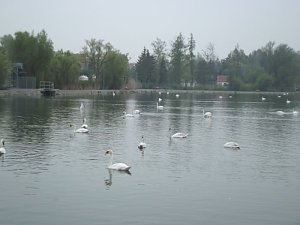 Senioren auf Stadtrundfahrt in M&uuml;hlhausen
