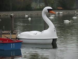 Senioren auf Stadtrundfahrt in M&uuml;hlhausen