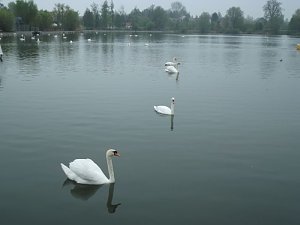 Senioren auf Stadtrundfahrt in M&uuml;hlhausen