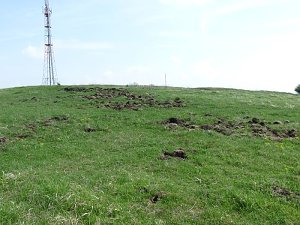 Frauenberg umgegraben