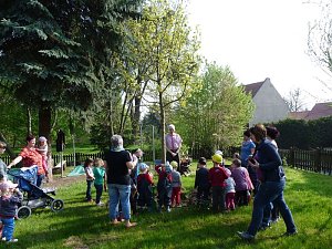 Baum gepflanzt und mehr