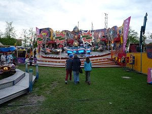 Fliederkrone gesetzt