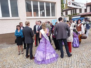 Fliederkrone gesetzt
