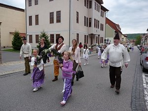Fliederkrone gesetzt