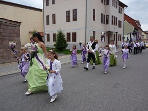 Fliederkrone gesetzt