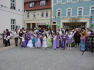 Fliederkrone gesetzt
