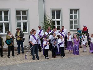 Fliederkrone gesetzt