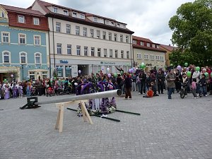 Fliederkrone gesetzt