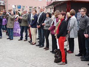 Fliederkrone gesetzt