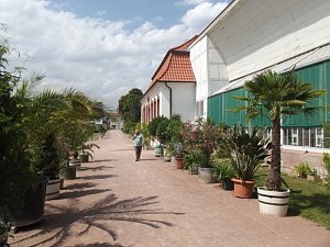 Seniorenausflug ins Land, ...