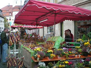 Arterner Zwiebelmarkt
