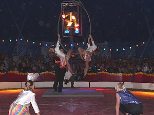 Zirkus Bellissimo