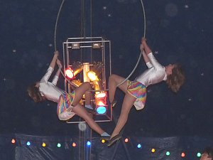 Zirkus Bellissimo