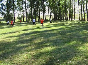 Sport und Spielfest