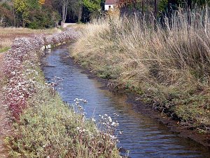 Natur in Artern