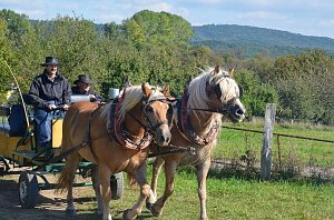 Die zweite Auflage