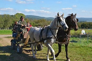 Die zweite Auflage