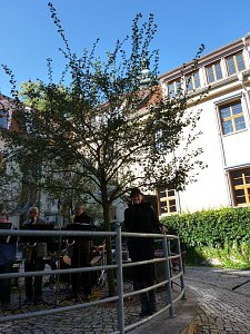 Beim Wort genommen